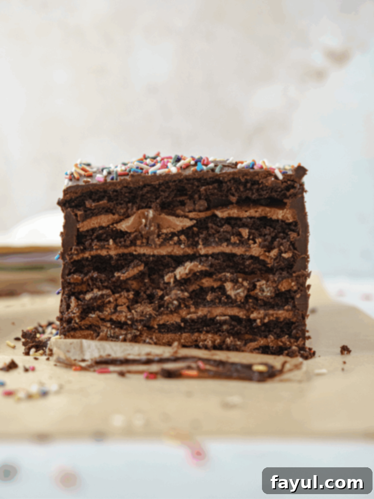Ultimate Six Layer Chocolate Cake 2 Tall Six-Layer Chocolate Cake with Raspberry and Rice Krispy Bark