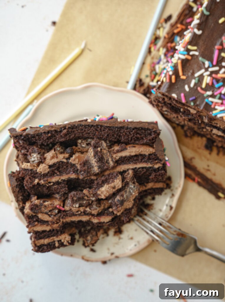 Ultimate Six Layer Chocolate Cake 4 Six Layer Chocolate Cake with Raspberry and Rice Krispy Bark layers