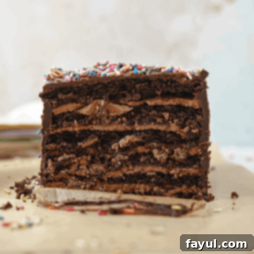 Ultimate Six Layer Chocolate Cake 6 six layer chocolate cake