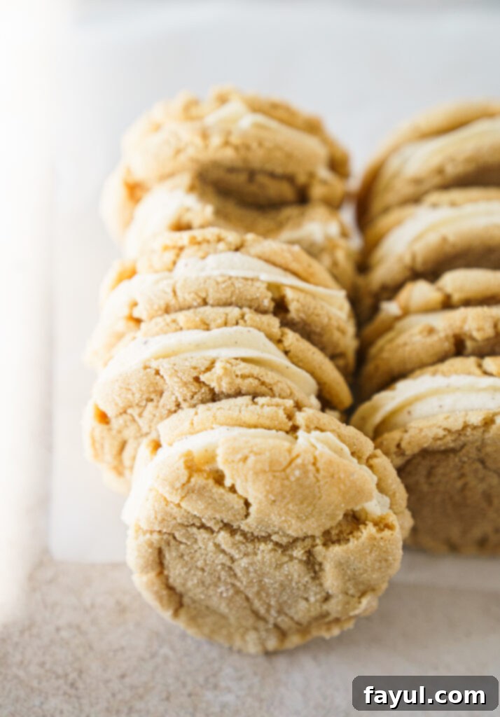 Next-Level Snickerdoodle Cookie Sandwiches 5 Close-up of one Snickerdoodle Cookie Sandwich - showing the detail of the cinnamon-sugar coating.