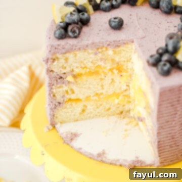 Delightful Lemon Blueberry Cake with vibrant frosting and fresh fruit.