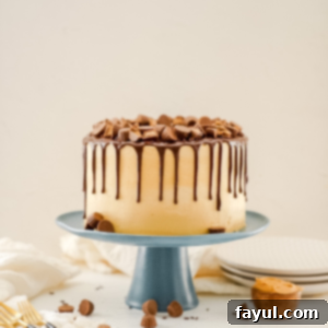 Chocolate Cake with Peanut Butter Frosting recipe card image