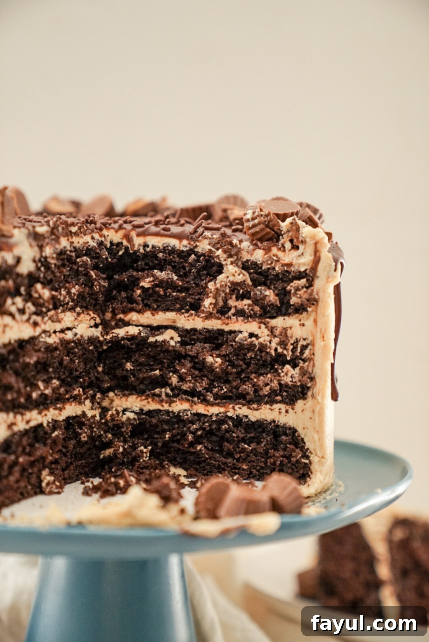 Deliciously layered chocolate cake with peanut butter frosting