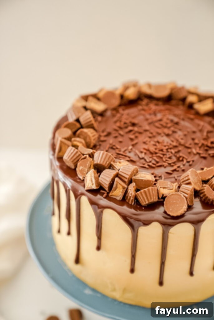 Ingredients for chocolate peanut butter cake laid out