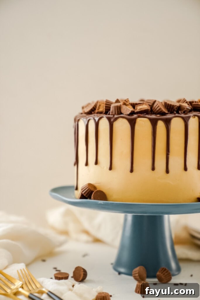 Process of applying peanut butter frosting to chocolate cake
