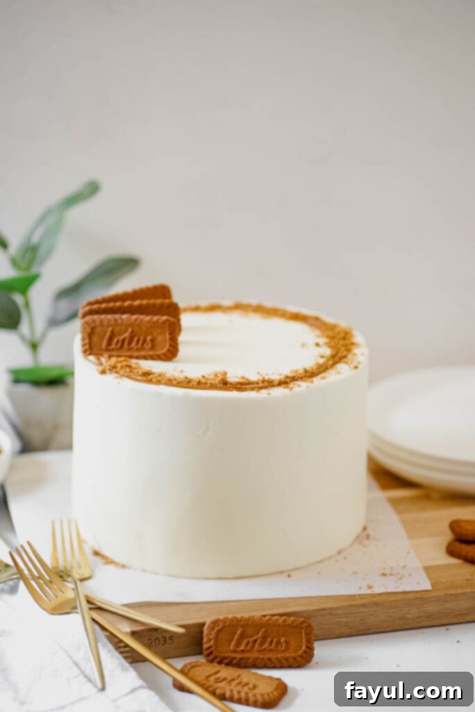 A slice of Ultimate Biscoff Cake with distinct layers of cake, filling, and crust