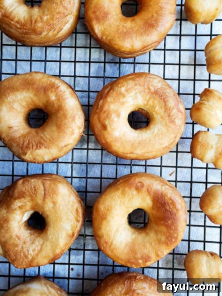 Batch of golden brown, plain fried donuts resting on a cooling rack before being glazed.