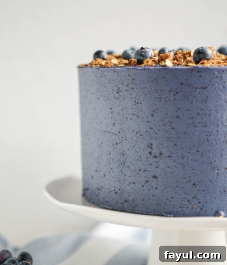 Close-up of a single moist and fluffy oatmeal cake layer, showcasing its texture.