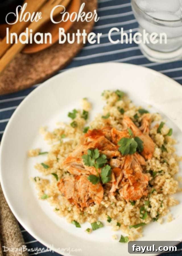 Overhead view of rich slow cooker Indian butter chicken, served on a white plate against a stylish blue and white striped background.
