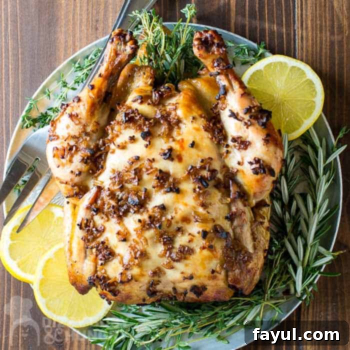 Overhead view of a perfectly roasted whole chicken from a slow cooker, featuring golden-brown, crispy skin, served on a platter.