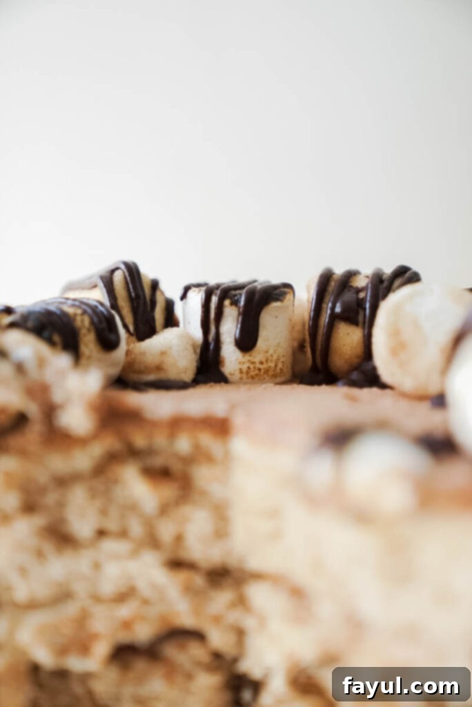 The finished Churro S'mores Cake, beautifully frosted and decorated, ready to be served.