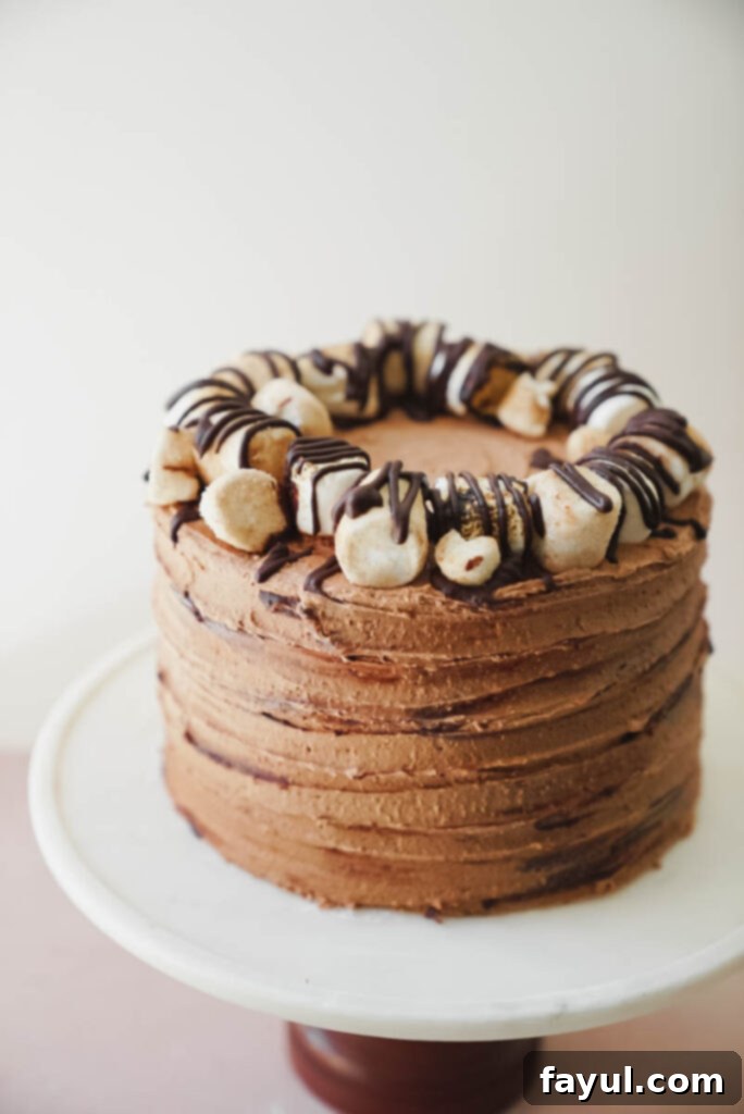 A top-down view of the Churro S'mores Cake with a decorative swirl of frosting.