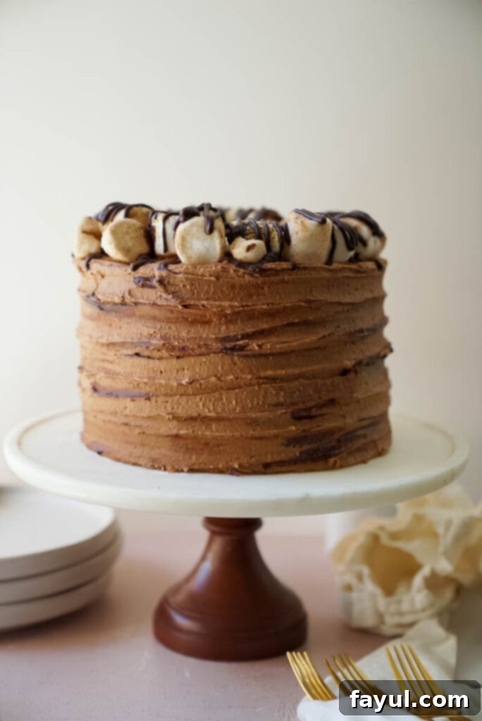 A whole Churro S'mores Cake on a cake stand, decorated with toasted marshmallows and graham cracker crumbs.