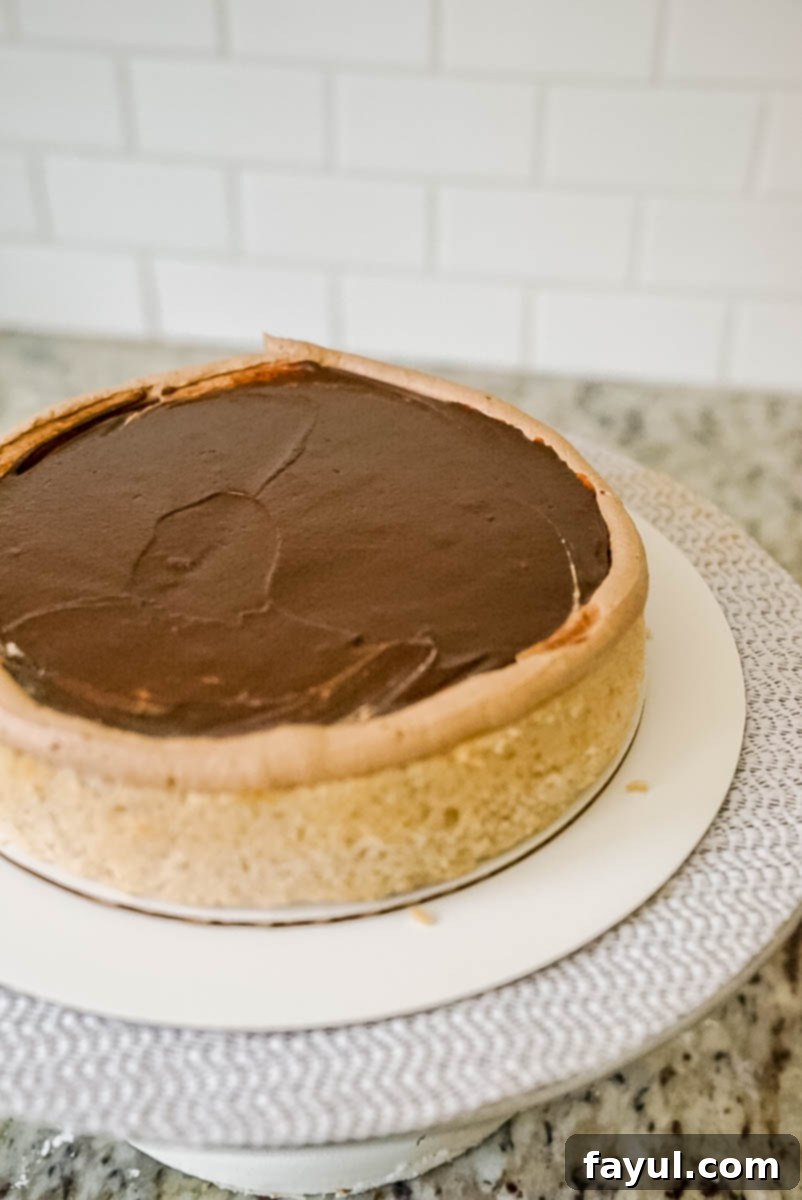 Freshly baked cinnamon cake layers cooling on a rack.