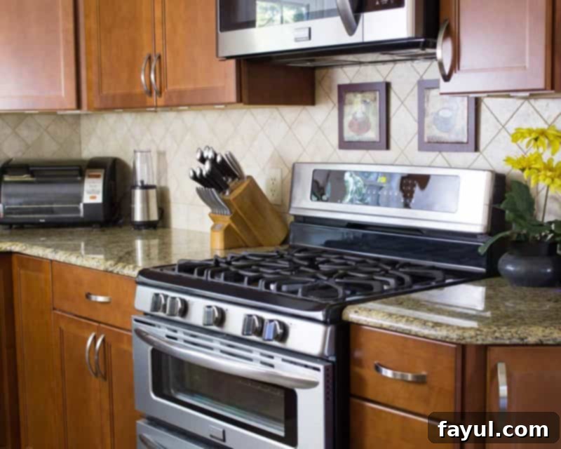 Essential Kitchen Gear for First-Time Cooks 3 photo of a kitchen stove and granite countertops, with blender, toaster oven, and knife set.