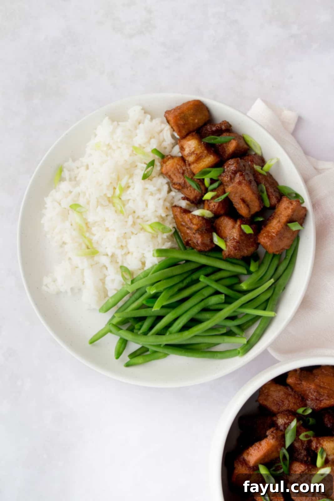 Overhead photo of braised pork and green beans with rice on a while plate.