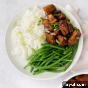 Overhead photo of braised pork and green beans with rice on a while plate.