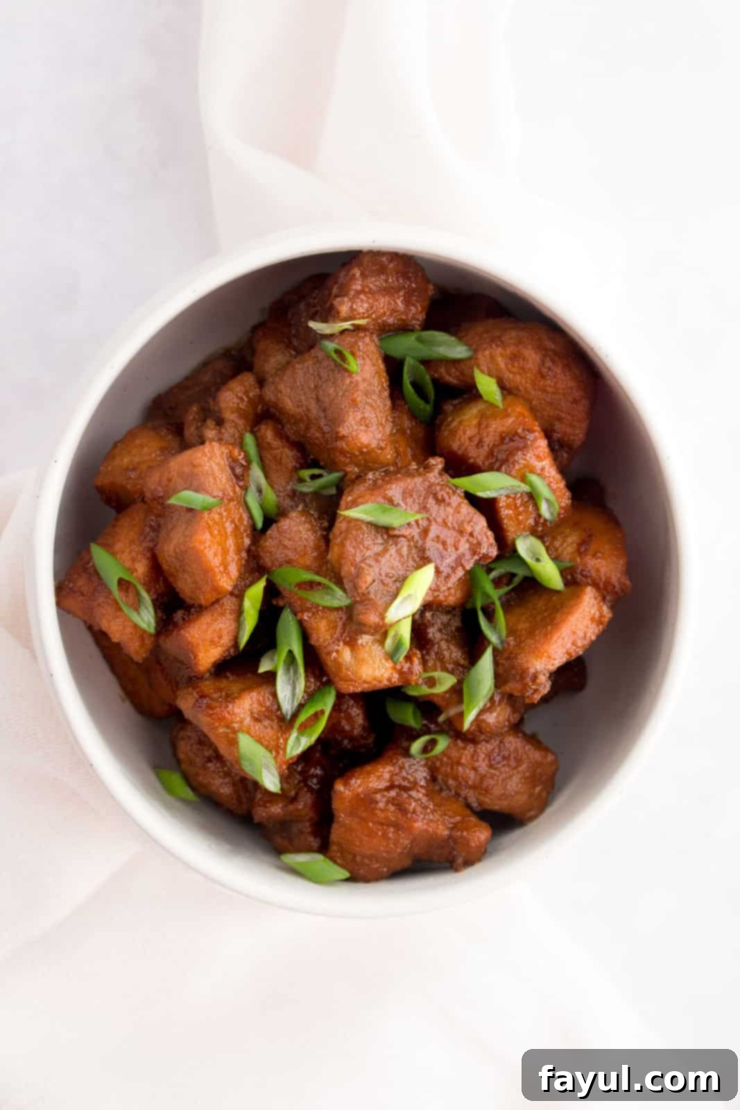 Overhead image of a bowl of braised pork.