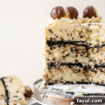 A full, beautifully decorated Cookie Dough Cake.