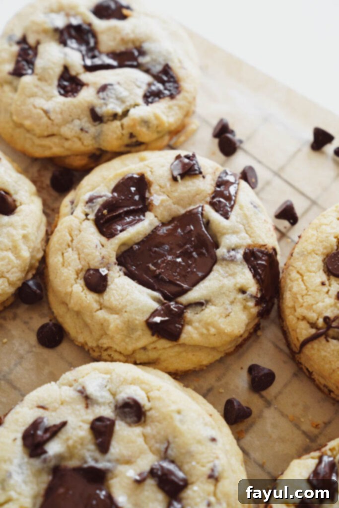 Stack of warm, gooey chocolate chip cookies