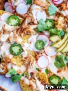Overhead shot of crispy nachos on a pan, generously topped with avocado, savory pork carnitas, and melted homemade queso.