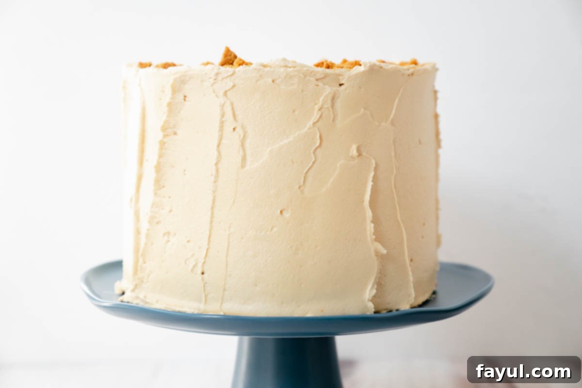 Whole Biscoff Apple Cake