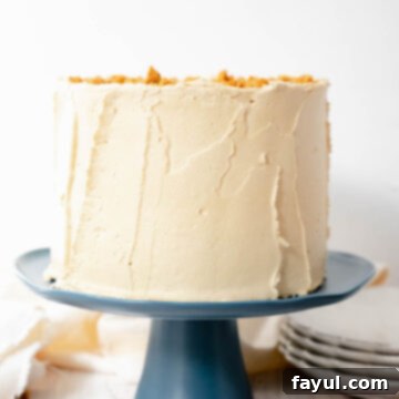 Biscoff Apple Cake