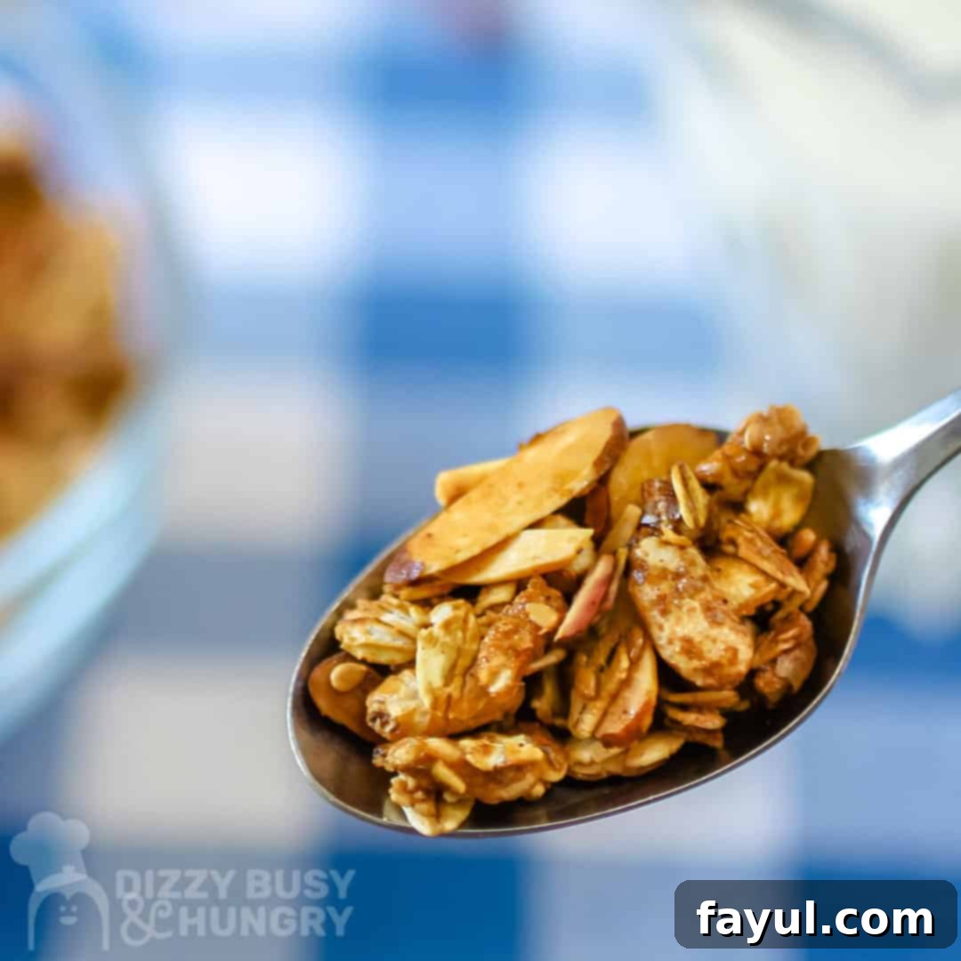 Close up view of a spoon to see the detail of the crunchy, baked homemade granola.