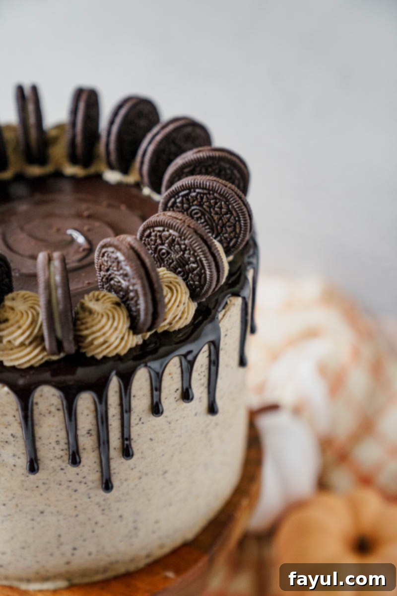 Oreo crust pressed into a cake pan