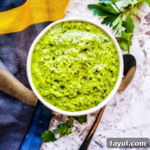 Zesty Chimichurri: Easy Upgrade for Your Grill 3 This Easy Chimichurri Sauce recipe is the best for grilled meats, veggies, as a marinade, or a dip! This traditional Argentinian sauce is ready in only five minutes and made with cilantro, parsley, olive oil, spice, and garlic. Also this sauce is naturally healthy, vegan, gluten free, low-card, Whole30, keto, and paleo. #sauce #chimichurri #easyrecipe #vegan