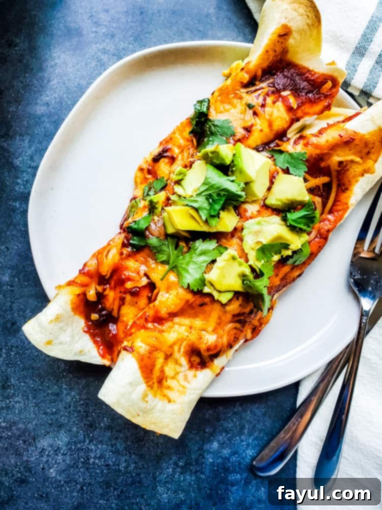 Overhead shot of two enchiladas on a white plate.