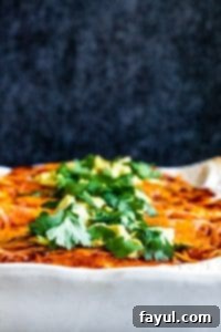 Close up shot of enchiladas in a white dish with avocado and cilantro on top.