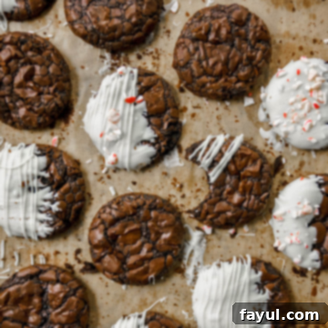 A perfectly baked Fudgy Brownie Cookie