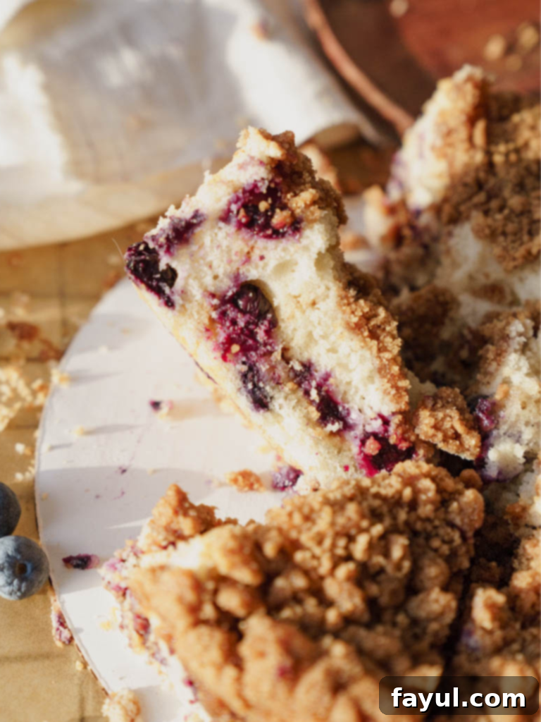 Delicious slice of Blueberry Buckle Cake with streusel topping