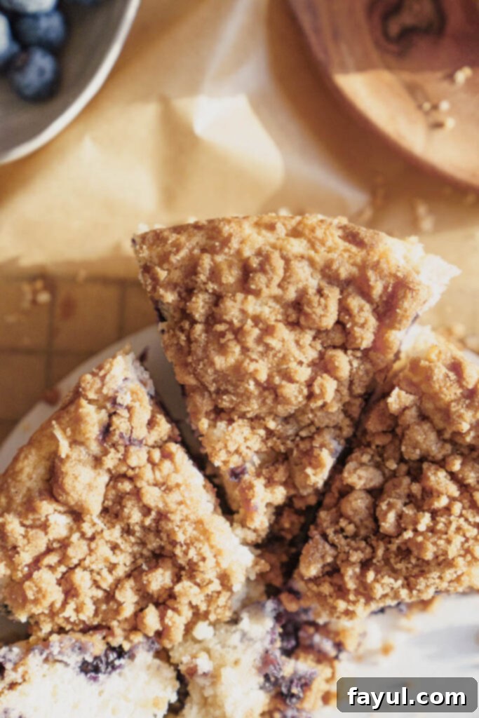 Close-up of baked Blueberry Buckle Cake with generous streusel topping