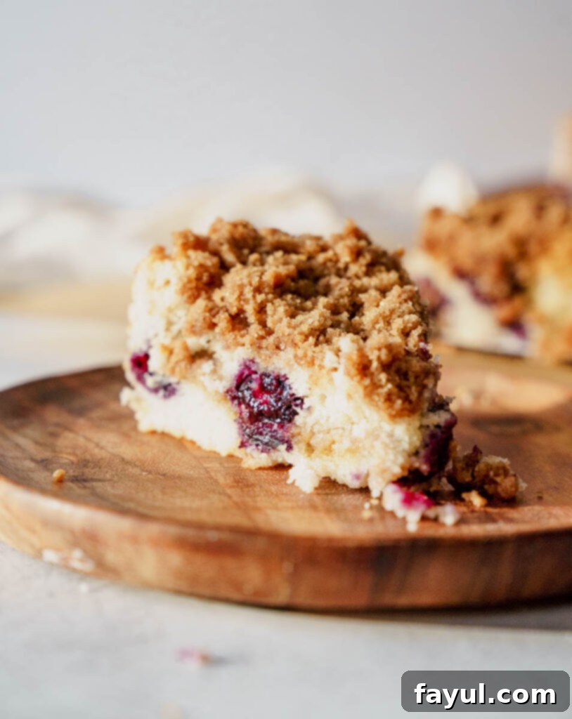 Overhead view of a whole Blueberry Buckle Cake, ready to be sliced