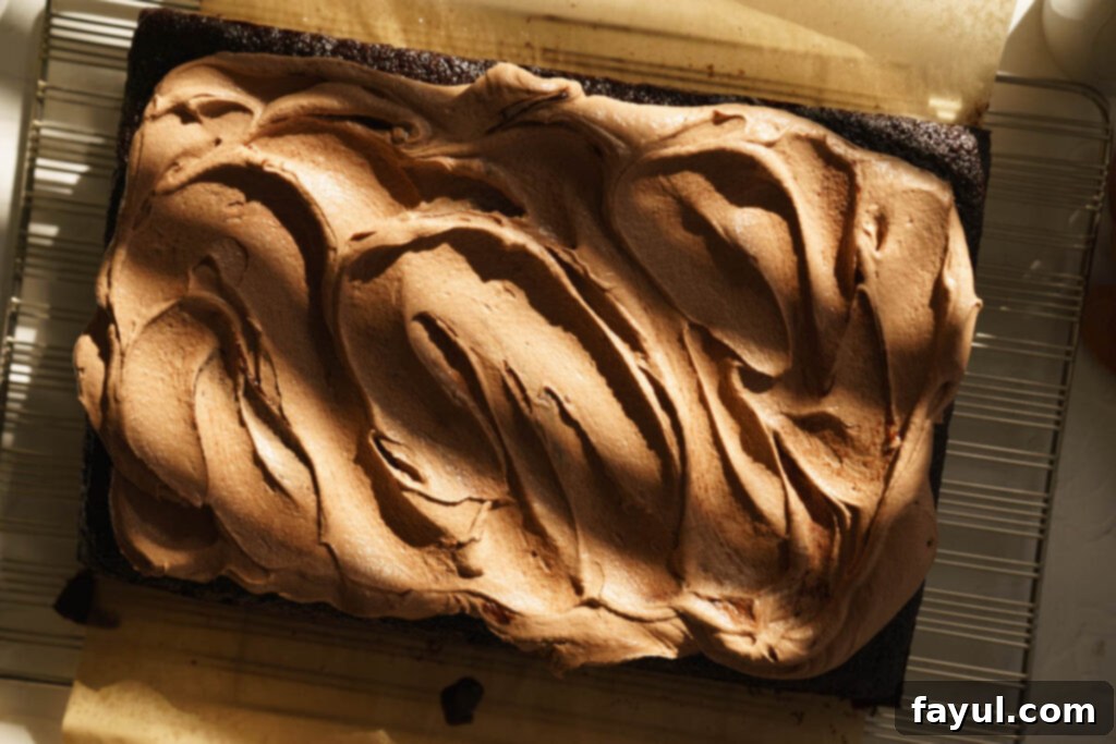 Close-up of baked chocolate sheet cake texture