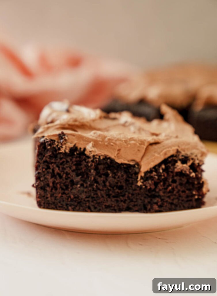 Finished 9x13 chocolate cake with smooth frosting