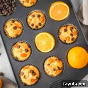 Overhead shot of a cupcake sheet filled with orange muffins, half slices of oranges, and chocolate chips.
