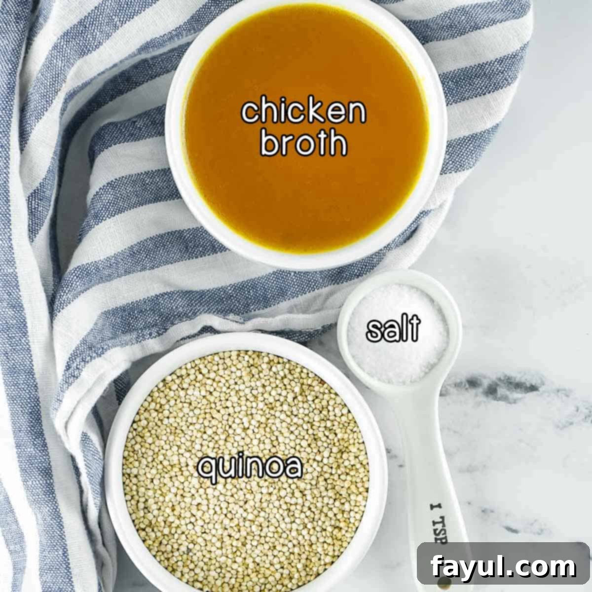 Fluffy Instant Pot Quinoa 3 Overhead shot of ingredients - chicken broth, quinoa, and salt.