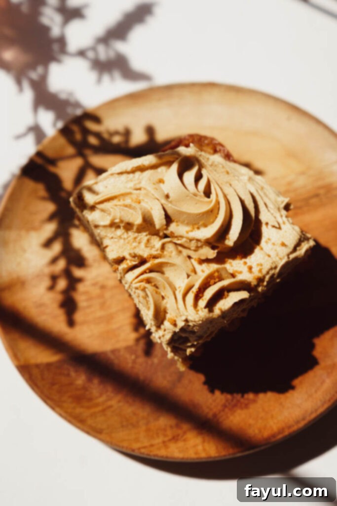 Overhead view of a whole Biscoff Snack Cake with cookie butter frosting