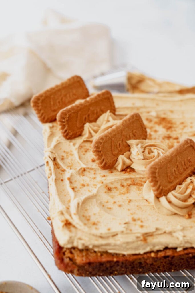 Biscoff cookies on a plate next to the cake