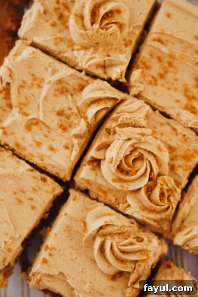 Biscoff Snack Cake with piped frosting detail