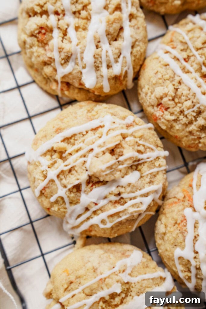 Close up of a single Carrot Crumb Cookie, showing the texture