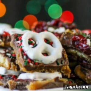 Close up shot of Christmas bark pieces on a white plate with Christmas lights in the background.