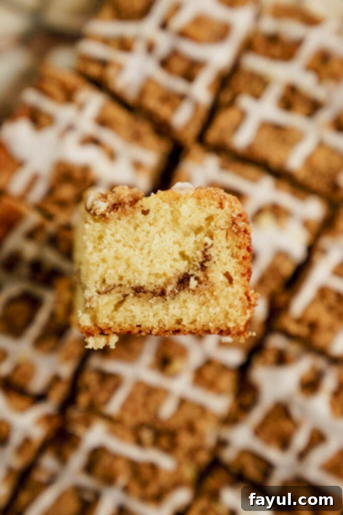 Close-up of fluffy coffee cake with crumble topping