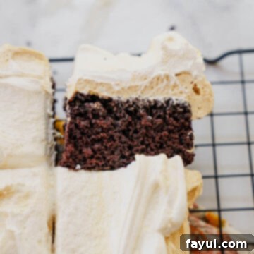 Finished Chocolate Peanut Butter Marshmallow Snack Cake with three layers of flavor