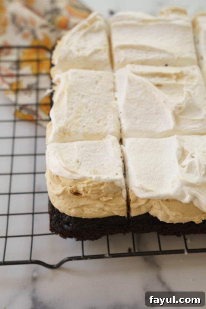 Another view of the chocolate peanut butter marshmallow snack cake, highlighting the fluffy marshmallow topping