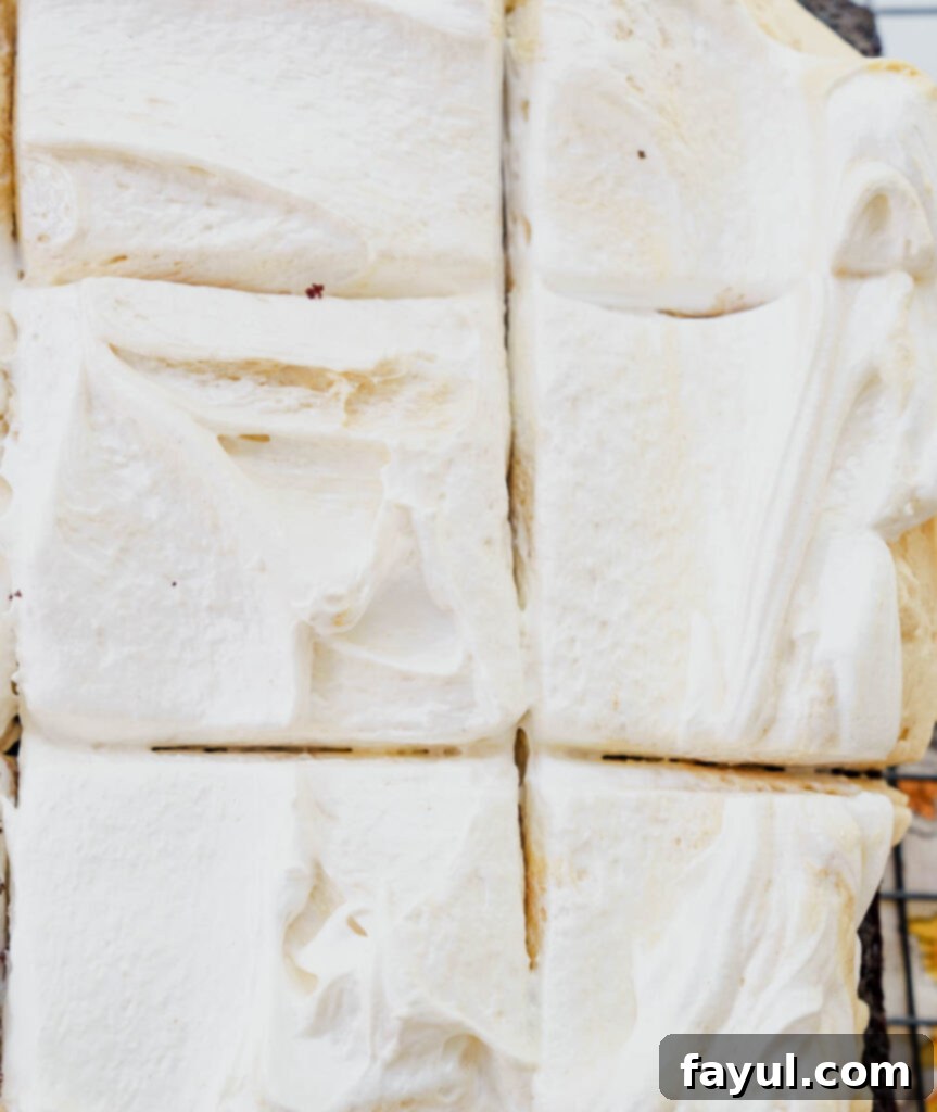 Close-up of the delicious layers of the chocolate peanut butter marshmallow cake