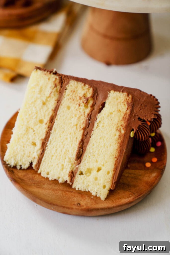 Yellow cake slice showing moist layers